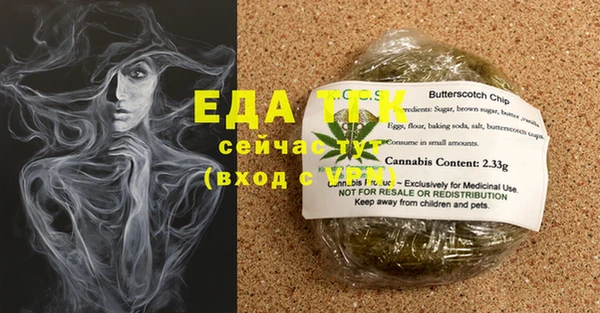 сатива Карпинск