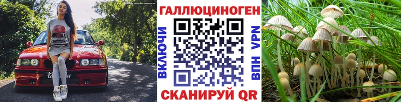 Псилоцибиновые грибы GOLDEN TEACHER  купить наркотики сайты  Нягань 